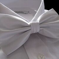 White Bow Tie